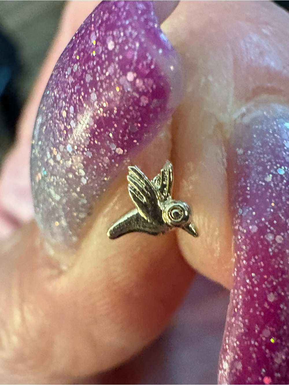 Nose Ring- hummingbird  20G Nose Ring Stud Screw 316L Stainless Steel Gold Tone